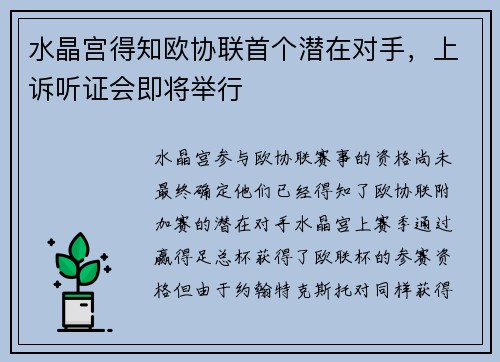 水晶宫得知欧协联首个潜在对手，上诉听证会即将举行